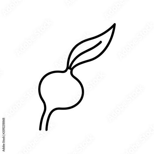 Simple line drawing of a beetroot.