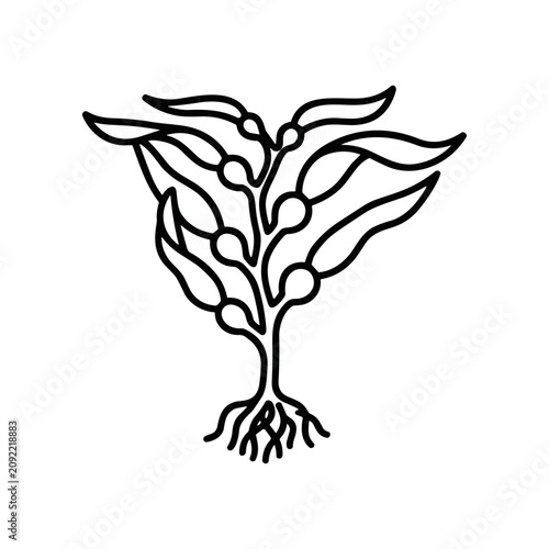 Black line drawing of plant roots.