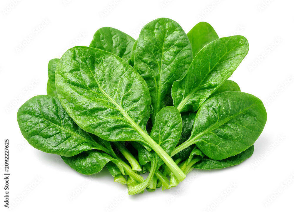 Fototapeta premium Fresh green spinach leaves on isolated background