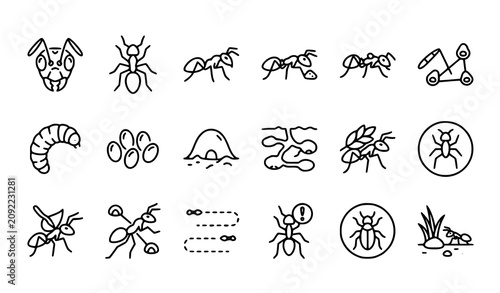 Canvastavla Ants and ant colony icons