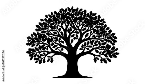 фотографія Black silhouette of a tree with sprawling branches and leaves