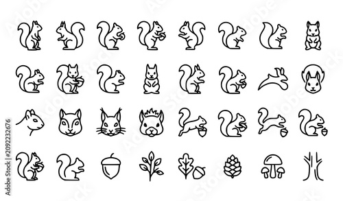 Squirrel and forest icons set