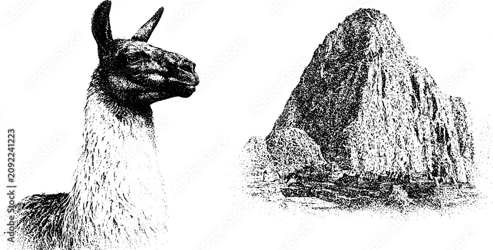 Fototapeta premium Llama and andean mountain with inca stone ruin black and white stipple engraving for background poster and banner design