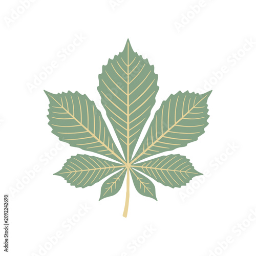 Canvastavla Detailed illustration of a green leaf.