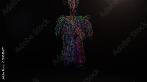 Falling colored strands sparking organic core forming humanoid figure on dark stage, spot glowing