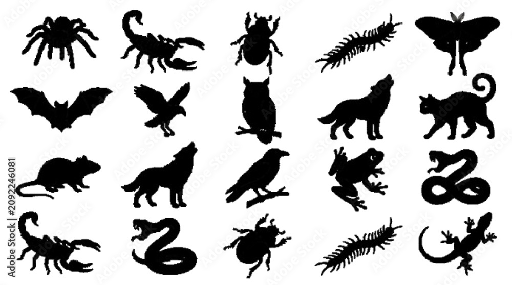 Fototapeta premium 8 Black silhouette vector collection with bat, raven, owl, black cat, spider, snake, rat, wolf, crow, scorpion, frog, moth, beetle, centipede, and lizard. Clean isolated silhouettes.