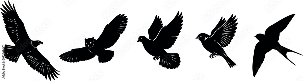 Fototapeta premium Flock of Birds Flying in Formation Against White Background Minimalist Style