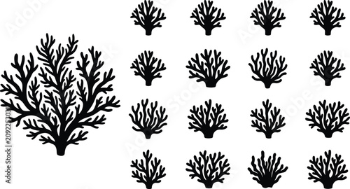 Fotografie Black silhouette illustrations of coral branching shapes including one large int