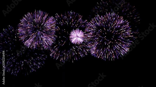 SEAMLESS LOOP : Multiple Purple and Multi-Color Fireworks Displays on Isolated Transparent Background