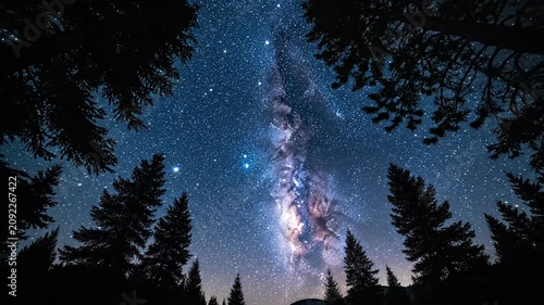 Milky way galaxy above forest tree silhouettes in night sky