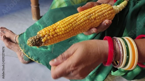 An Indian woman peeling corn cobs