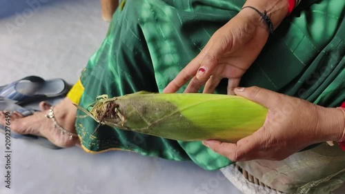 An Indian woman peeling corn cobs