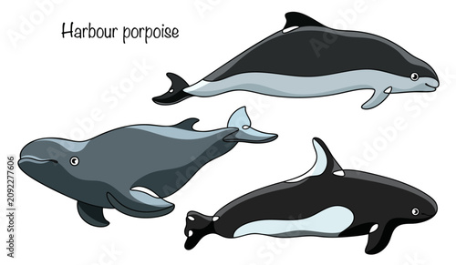 Konstfotografi Harbour porpoise