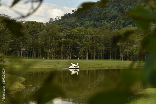 A white swan-shaped pedal boat floats on a calm lake, framed by foreground leaves, with a lush green lawn, tall trees, and a forested mountain in the background.