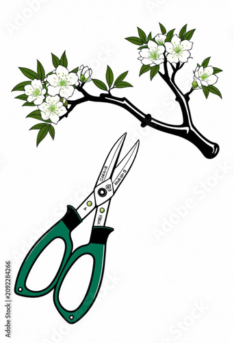 Illustration of Pruning Shears and Blossoming Branch