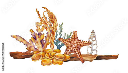 Konstfotografi Gold coins, starfish and corals on driftwood, watercolor illustration in realistic style