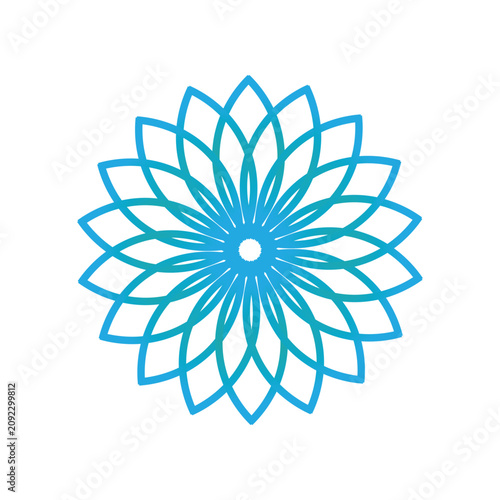 Blue flower vector