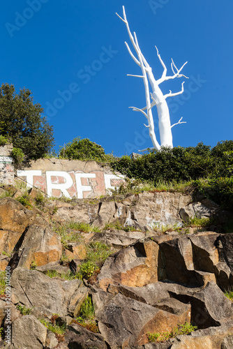 Arbre mort peint en blanc en haut d'une falaise et surplombant une inscription en anglais 