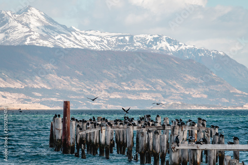 Old Pier (Muelle Historico) in Almirante Montt Gulf - Puerto Natales, Magallanes Region, Patagonia, Chile