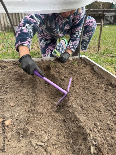 A woman works on a high raised garden bed, which is covered with spunbond over plastic arches