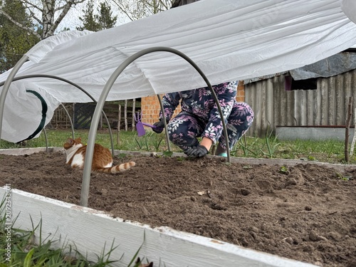 A woman works on a high raised garden bed, which is covered with spunbond over plastic arches