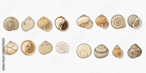 Obraz na plátne Set of various hand-drawn sea shells and snail shells collection, perfect for marine and nature-themed designs