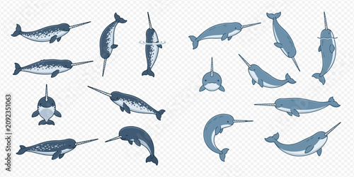 Fotografija Set of cartoon narwhals in various poses, featuring the 'unicorn of the sea' in different angles and perspectives, isolated on a transparent background for easy use