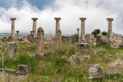 Photos Row of Standing Columns in the House of the Marble Bacchus, Volubilis, Morocco