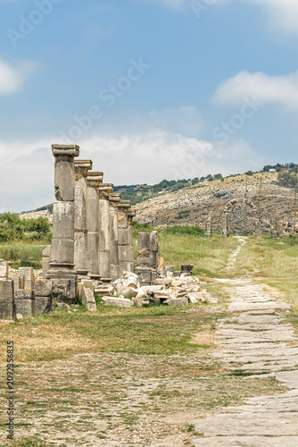 Obraz na płótnie Column Row with an Arch View Along the Decumanus Maximus, Volubilis, Morocco