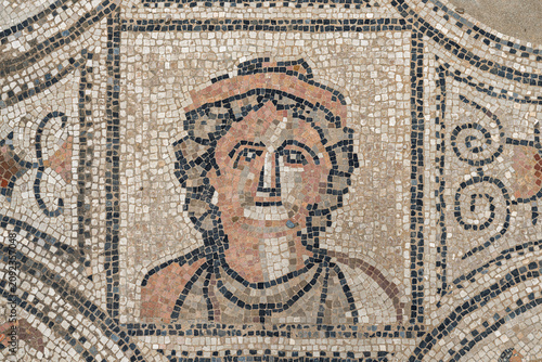 Tableau sur toile Female Portrait Mosaic in the House of the Labours of Hercules, Volubilis, Moroc