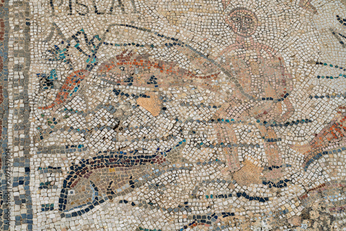 Photos Fishing Scene Mosaic Detail in the House of Desultor, Volubilis, Morocco