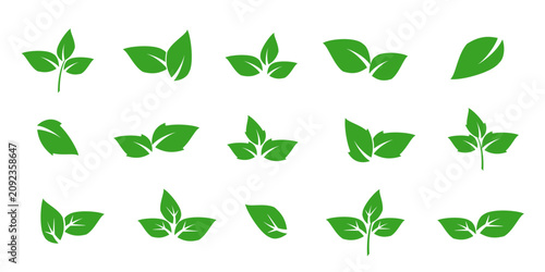 Leaf vector symbol, leaf illustration or leaf emoji in flat style. Spring leaf design, ecological nature theme.	
