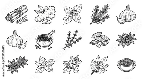 Foto Herbs and Spices Collection: Hand-Drawn Illustrations of Culinary Ingredients