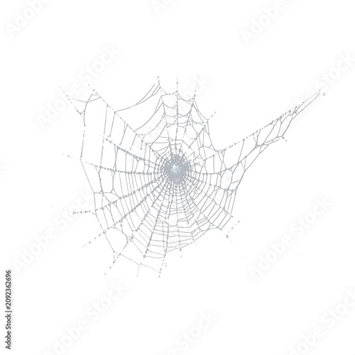 Detailed Cobweb Overlay Isolated on Transparent Background for Graphic Design