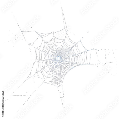 Detailed Spider Web Overlay Isolated on a Clean Transparent Background