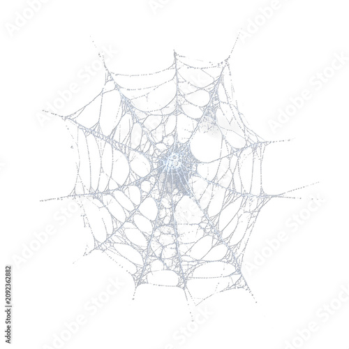 Detailed Spider Web Overlay Isolated on White Background for Graphic Design