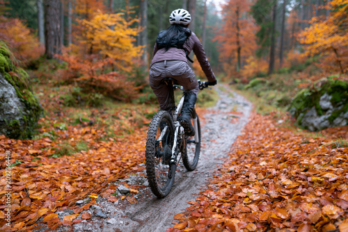 Rider pedals through autumn forest trail. Leaves blanket muddy path. Helmeted cyclist moves through colorful trees. Warm hues glow in rainy forest setting