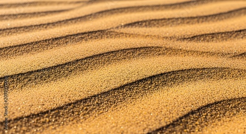 Macro texture of golden sand dunes showing detailed patterns and rippled surface in desert sunlight.