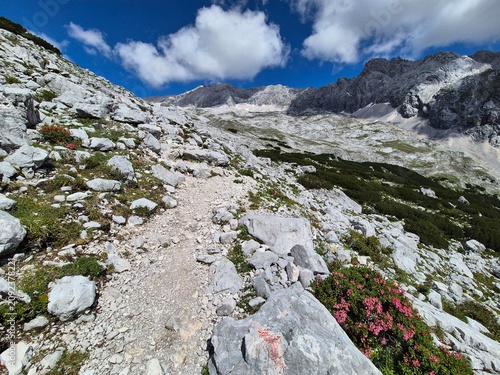 Картината върху платно Plattsteig (Gatterl-Route auf die Zugspitze)