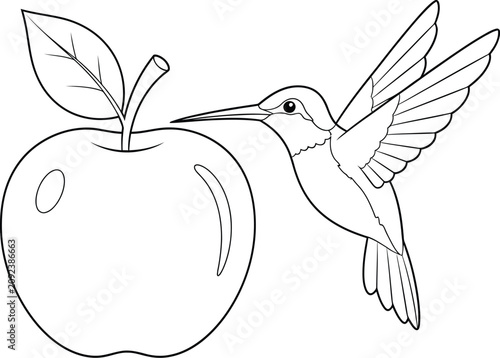 Hummingbird with Apple Line Art Illustration – Simple Outline Drawing for Coloring Pages, Nature Artwork, Kids Activity Sheets, and Creative Graphic Design Projects
