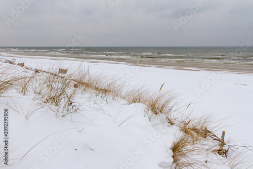 фотографія Snowy beach and dunes by the winter sea