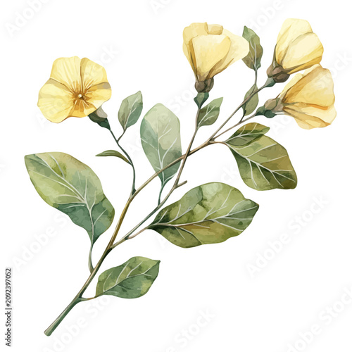 Canvastavla Puschkinia Branch, watercolor vector portraying a joyful pose with colorful highlights, isolated on a white background