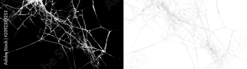 Fotografie Transparent web structure with lines and shapes showing a network pattern in det