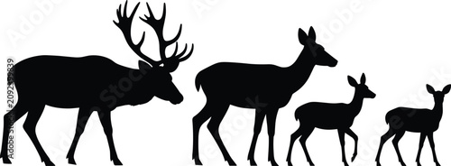 Cuadro en lienzo Silhouette of a stag with large antlers, followed by a doe and two fawns, repres