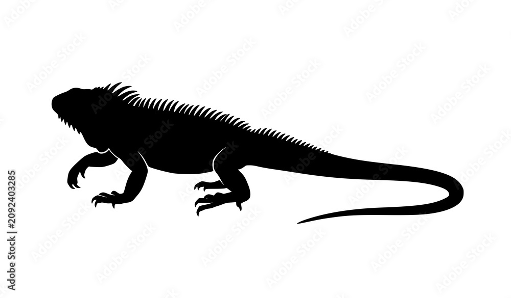 Fototapeta premium Minimalist walking iguana silhouette vector isolated on white background realistic black reptile wildlife profile illustration