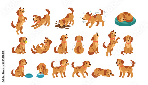 Obraz na plátně Cute playful brown dog vector bundle showing puppy characters in different poses