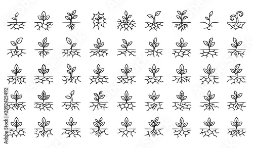 Foto Plant Sprouting from Cracked Dry Soil Line Art Icon Set Nature Vector Collection