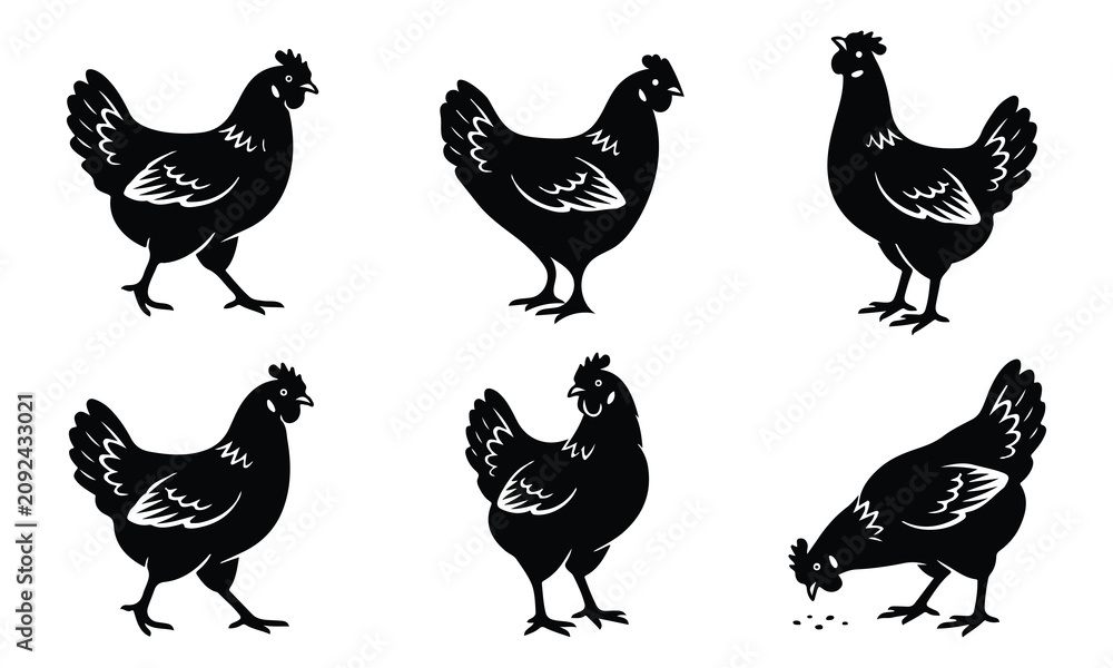 Fototapeta premium Six black silhouette chicken illustrations