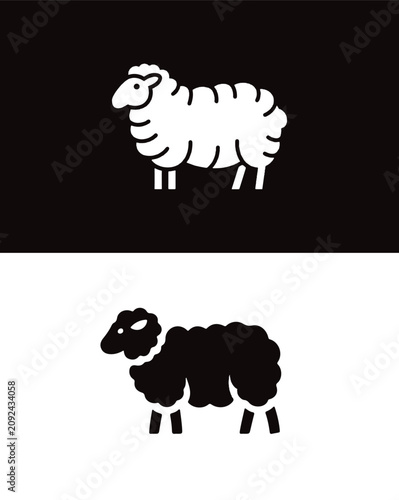 vector illustration of sheep