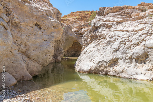 A pool of water near Nahal Rahaf-Rahaf Stream in the Judean Desert in Israel.
